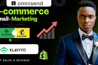 manage your ecommerce email marketing in klaviyo or omnisend