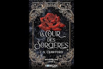 professionally translate your book into french