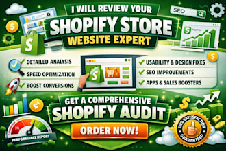 review your shopify store website expert shopify audit