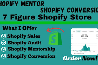 be your shopify mentor coach and consultant