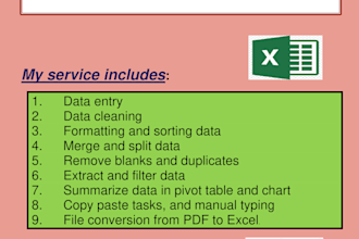 clean, format, merge, split excel data