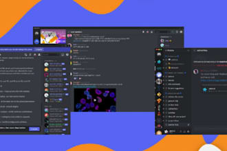 setup and manage your crypto or nft discord server professionally