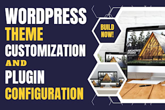 do wordpress theme customization and plugin setup