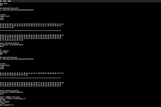 teach you how to use raw sockets in c