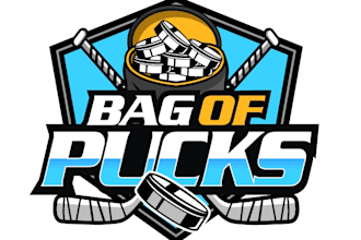 design excellent hockey logo with free unlimited revisions