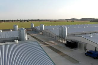 do 3d poultry farm, broiler farm, poultry layout, barn farm, chicken house plan
