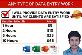 do accurate data entry, excel data entry and online data entry work