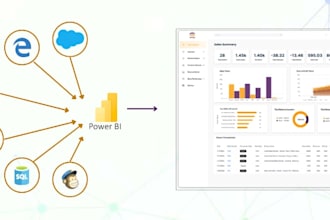provide power bi managed services
