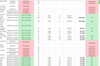 provide and assigned financial analysis report, excel automation
