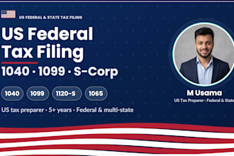 prepare and efile your USA personal and business taxes