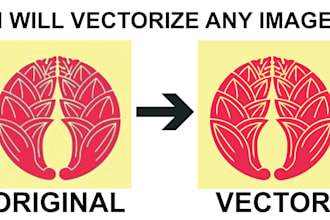 vectorize any image you send over