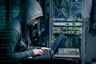 perform forensic accounting, fraud investigation, CPA financial statement