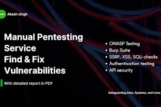 test security of your system or website