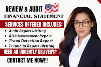 do financial report writing, audit report writing, cashflow report