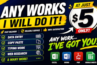 do professional data entry with law bugdet