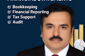provide accounting, bookkeeping and financial assignments