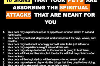 do shamanic healing for pets