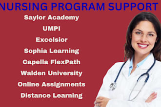 do capella flexpath msn bsn dnp assessments