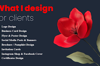 design or redesign any type of graphic designing work