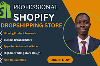 build a winning product shopify drop shipping store