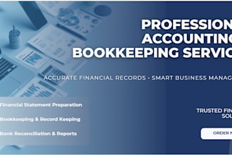provide proffessional accounting services