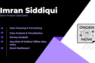 do data cleaning analysis visualization excel reports