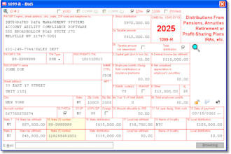 provide professional irs compliant 1099 preparation and e filing