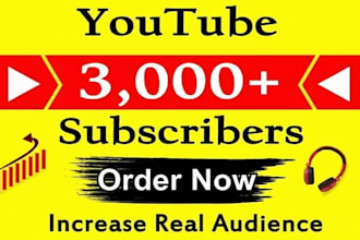 provide 3,000 plus youtube followers fast