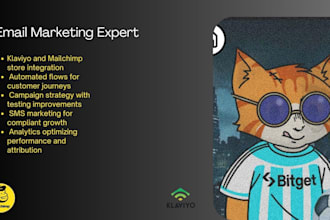 setup high converting klaviyo email marketing and klaviyo flows setup