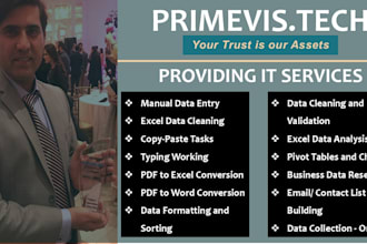 provide precise data entry, data cleaning, and professional excel data analysis