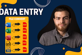 do professional data entry, file conversion