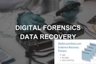 do digital forensics, malware and log analysis, cybercrime investigation