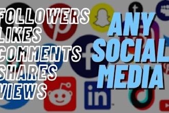do provide social media followers