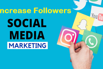 increase social media followers