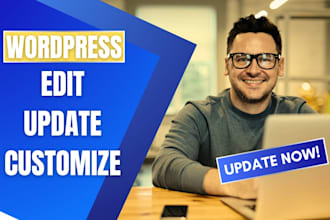 edit wordpress website, wordpress customization, update
