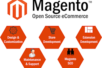 install and setup magento online store