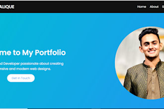 develop a professional, responsive, and modern frontend website