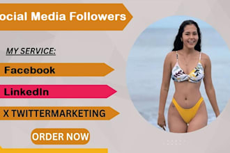 increase social media followers