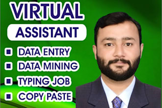 be your virtual assistant for data entry, copy paste and web