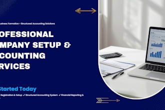 professional company setup and accounting structure services