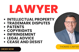 be intellectual property, trademark, patent and copyright infringement lawyer