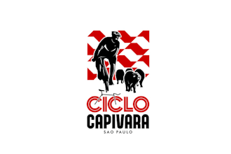 design modern amazing cycle racing logo