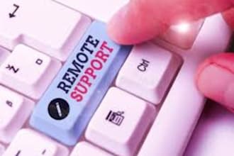 provide the remote IT support and computer troubleshooting