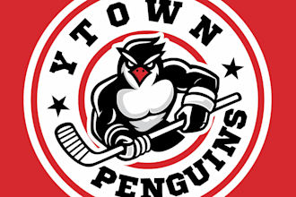 design a modern custom ice hockey sports team logo