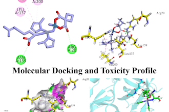 do molecular docking of protein protein, protein ligand, toxicity profile