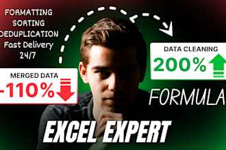 do ms excel data cleaning and formatting faster 10 by 10 accuracy