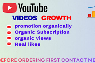 do organic youtube channel and videos promotion organically