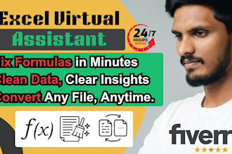 fix excel errors, clean data, and do professional data entry