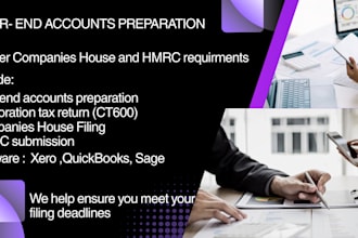 prepare UK annual accounts and file corporation tax