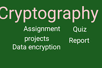 help you cybersecurity, cloud computing, vulnerability, cryptography assignments
